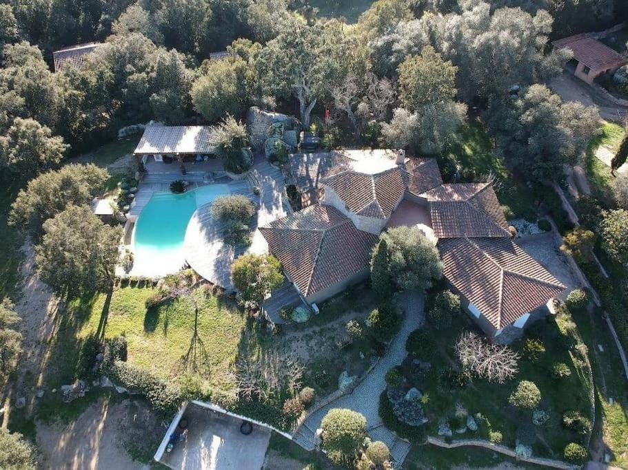 Natural landscape, Bird's eye view, Swimming pool