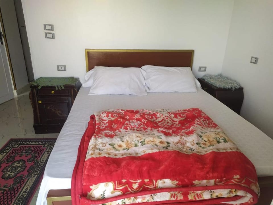 Ahmed's House Apartment in Luxor Governorate