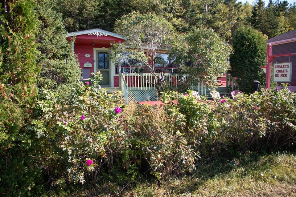 Property building, Garden