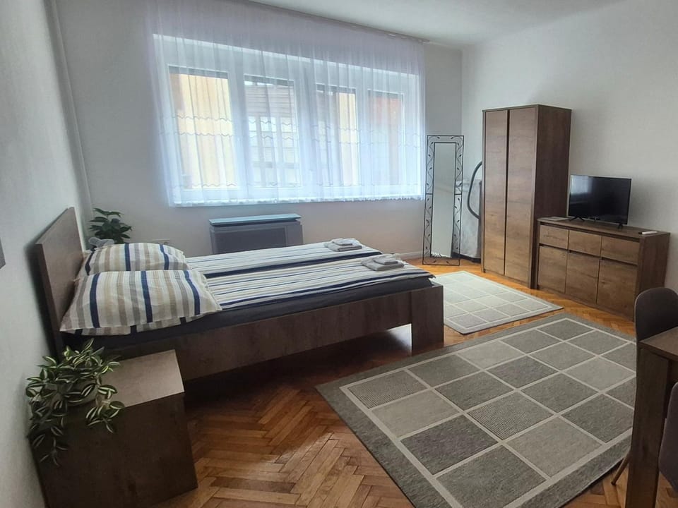 Downtown Studio Apartman Apartment in Hungary