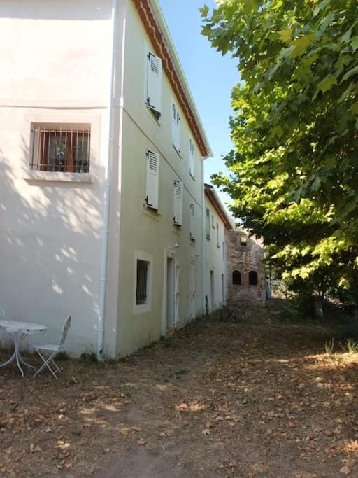 Property building, Garden, Garden view