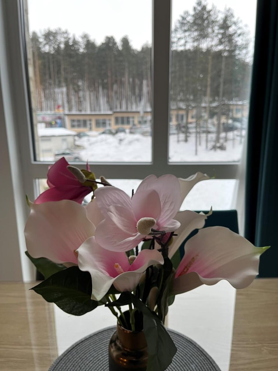 View (from property/room)