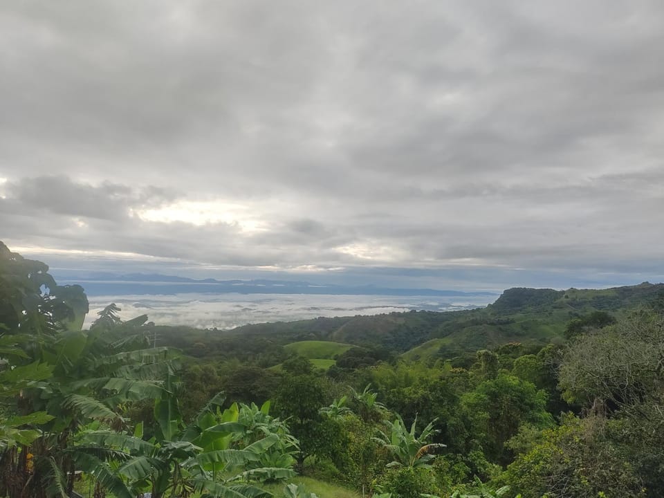 Mountain view