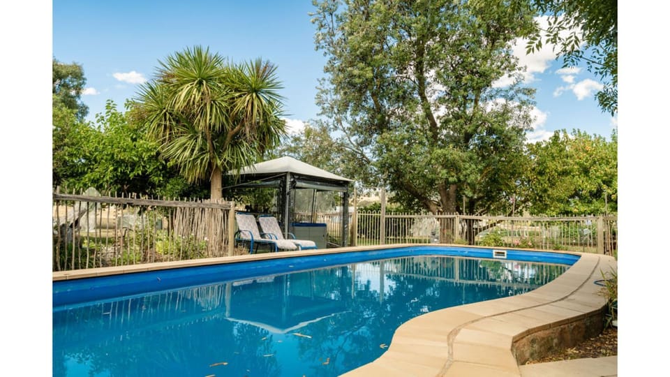 Swimming pool, Swimming pool, sunbed