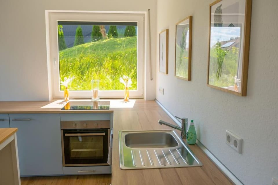 Kitchen or kitchenette, pet friendly, stove