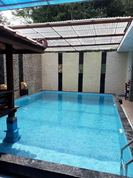 Swimming pool, Swimming pool