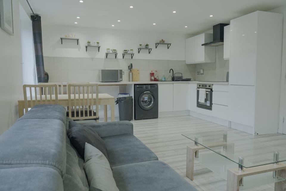 Kitchen or kitchenette, Living room, Seating area, Dining area, oven, stove