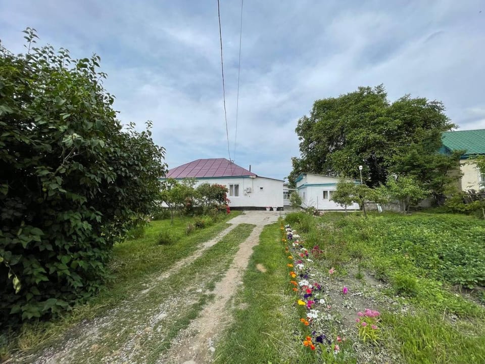Garden, Garden view