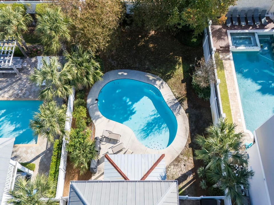 Bird's eye view, Garden, Swimming pool