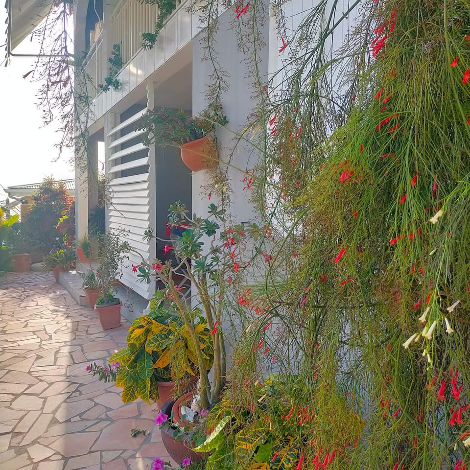 Garden view