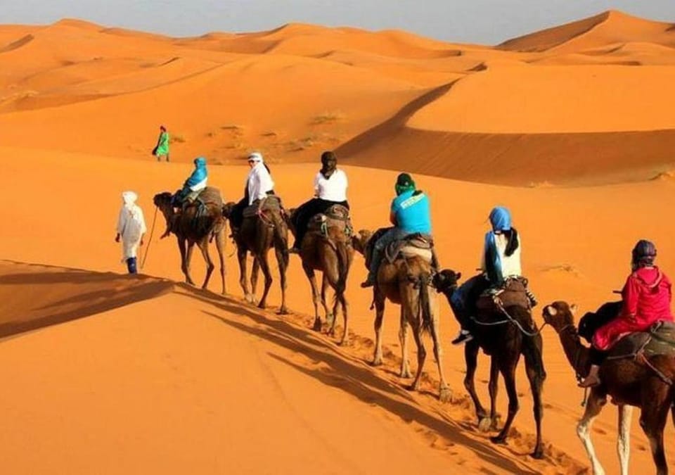 People, Natural landscape, Horse-riding, Animals, group of guests