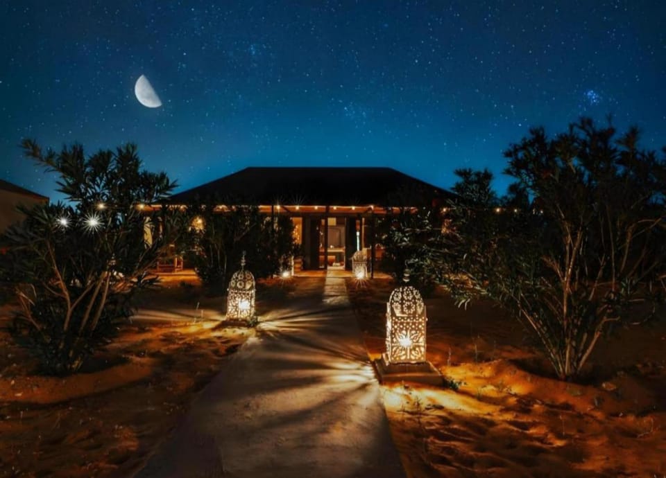 Night, Garden, Garden view