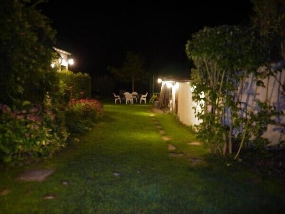 Night, Garden, Garden view