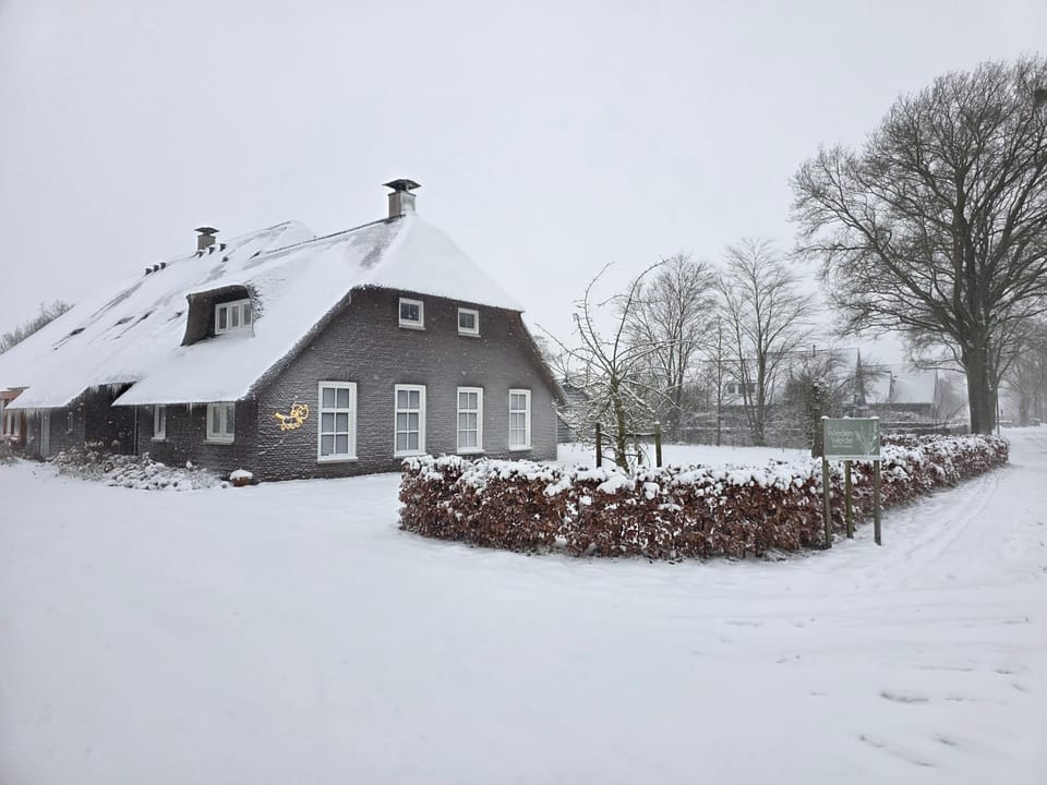 Property building, Winter