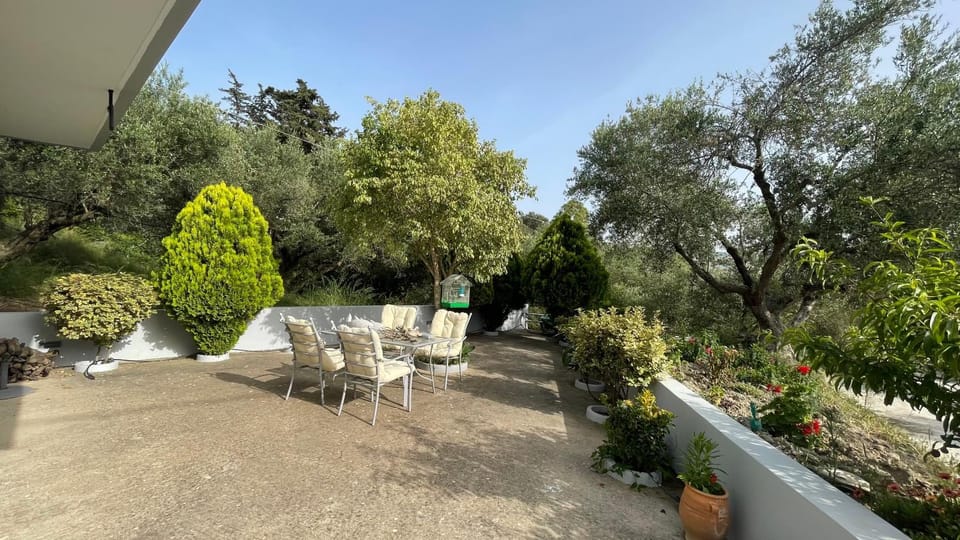 Patio, Day, Natural landscape, Garden, Dining area