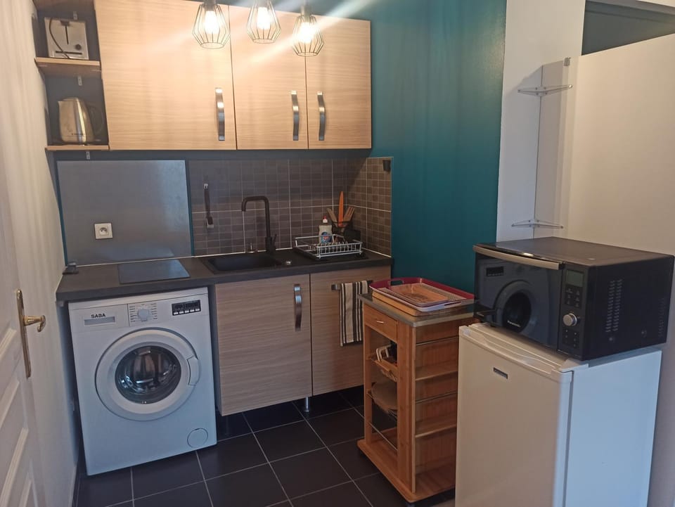 Kitchen or kitchenette, minibar, pet friendly, stove, toaster, washing machine
