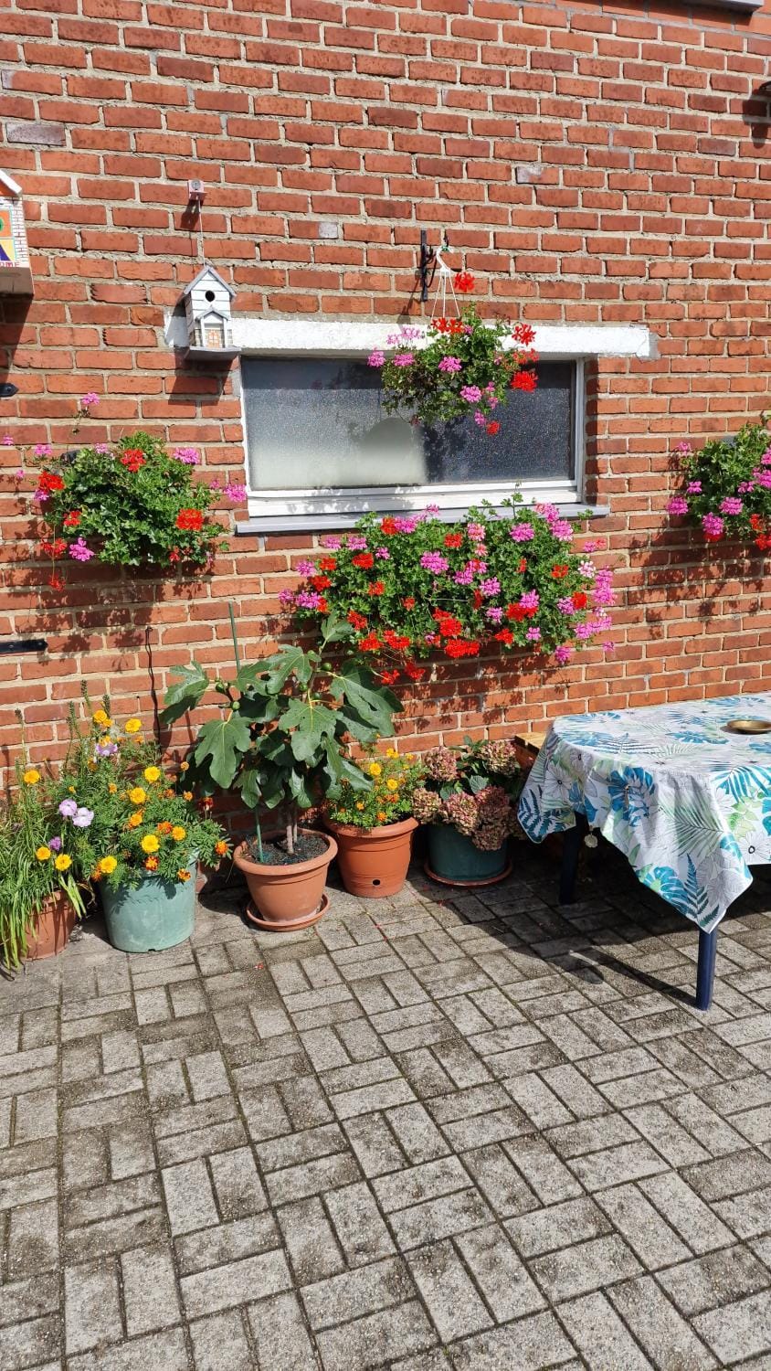 Garden view