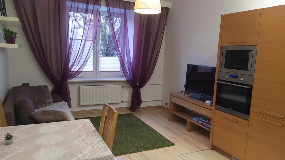 TV and multimedia, Kitchen or kitchenette, Living room, Seating area, Bedroom, minibar
