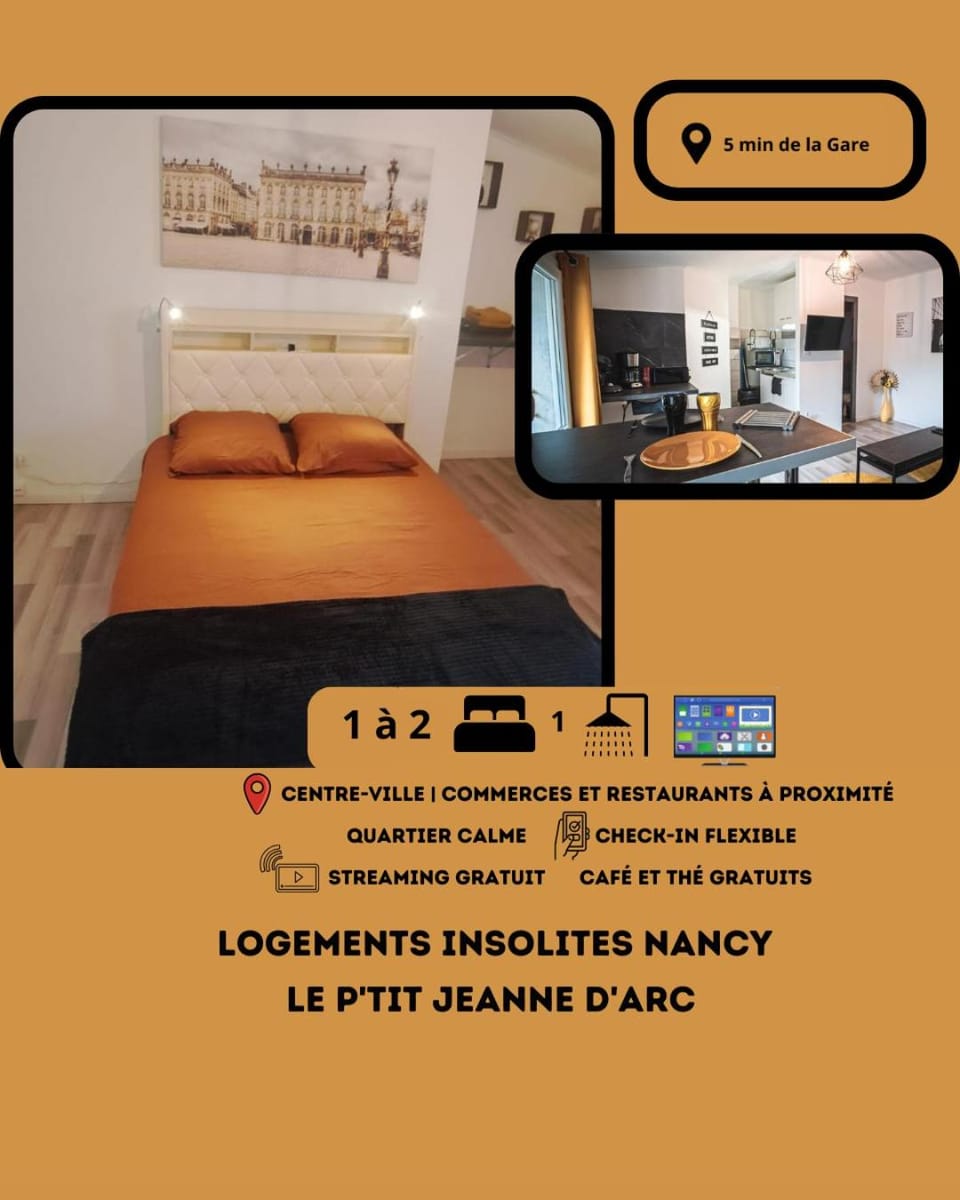 Le P'tit Jeanne d'Arc Logements Insolites Apartment in Nancy