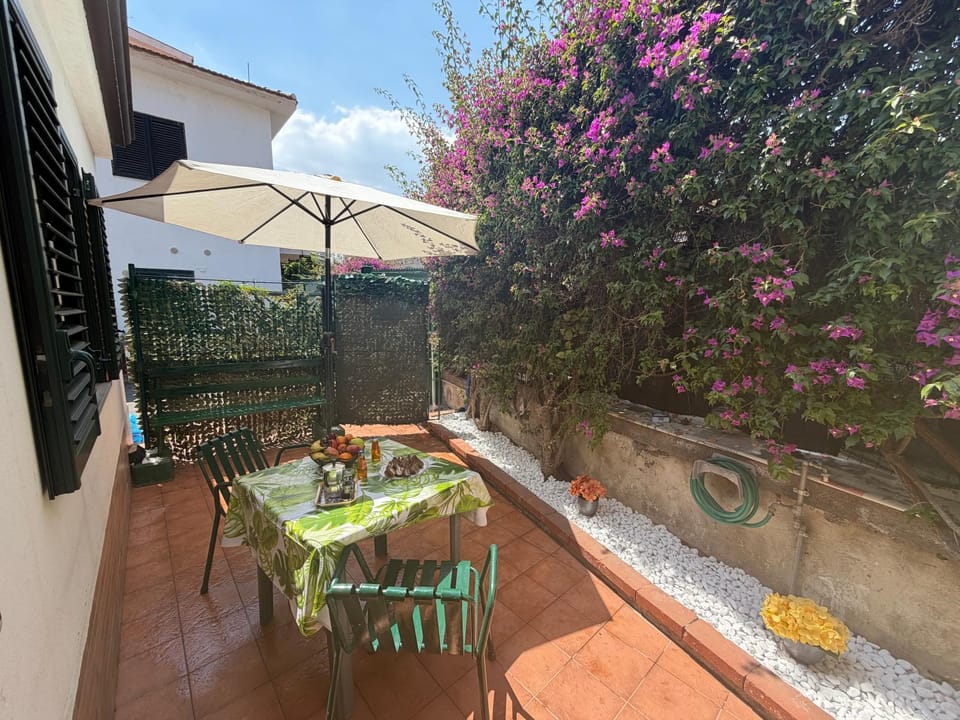 Patio, Spring, Garden, Balcony/Terrace, Dining area