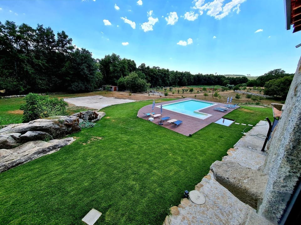Natural landscape, Garden, Garden view, Pool view, Swimming pool, Swimming pool, sunbed