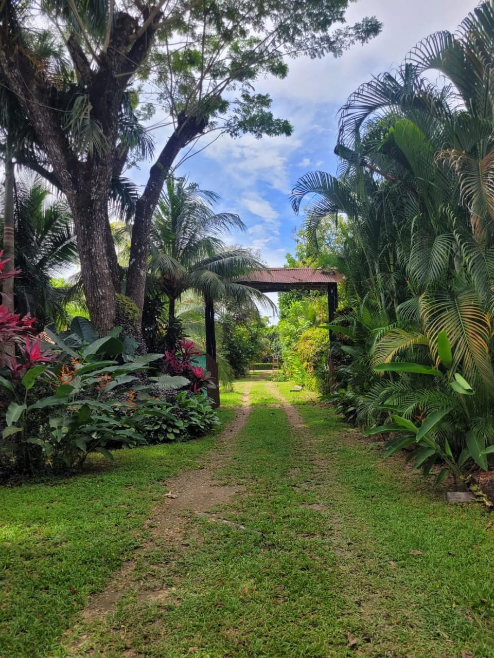 Jazlyn Lodge Nature lodge in Puntarenas Province