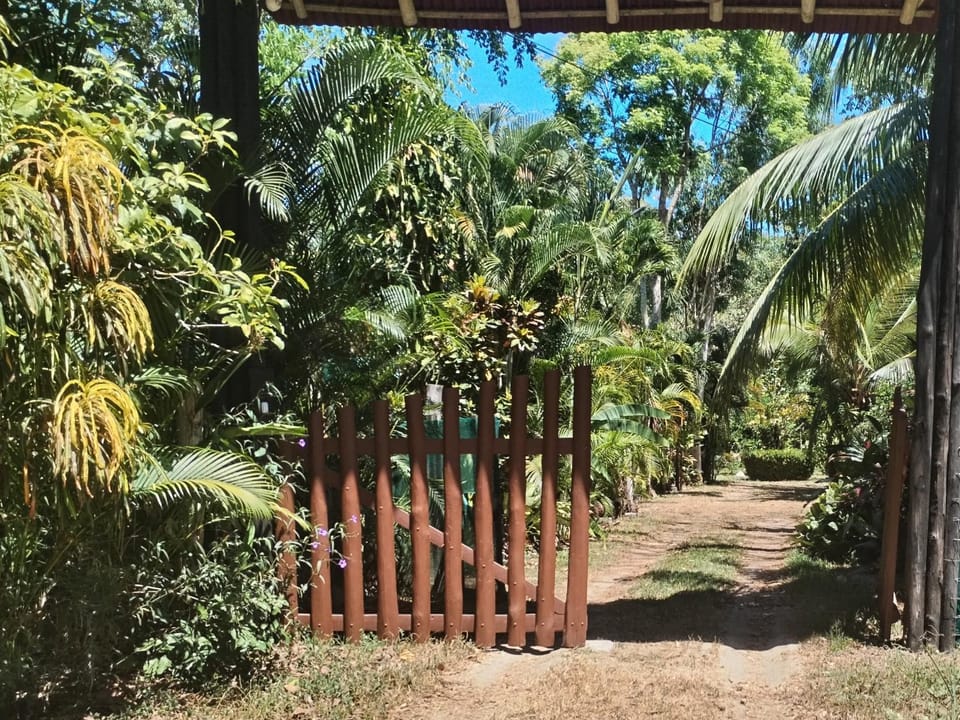 Jazlyn Lodge Nature lodge in Puntarenas Province