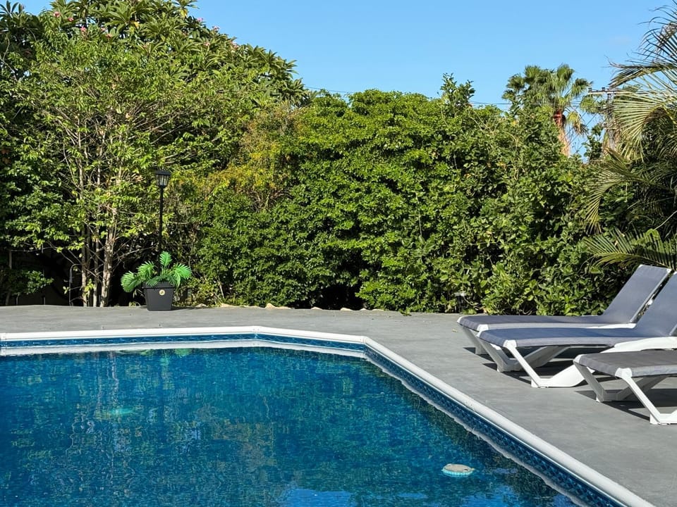 Swimming pool, sunbed