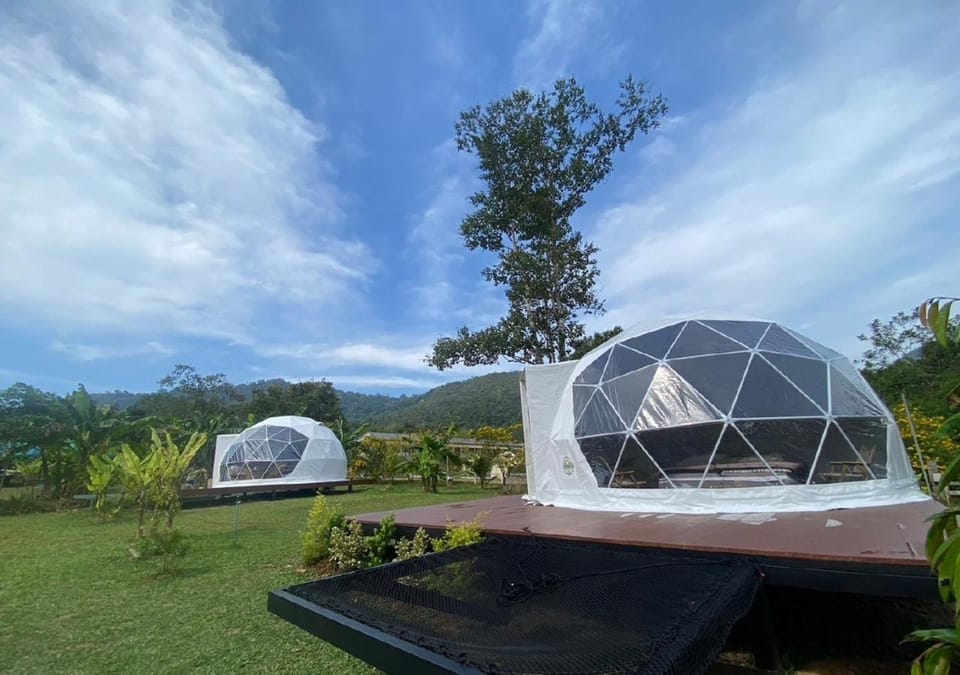 Property building, Day, Garden, Garden view