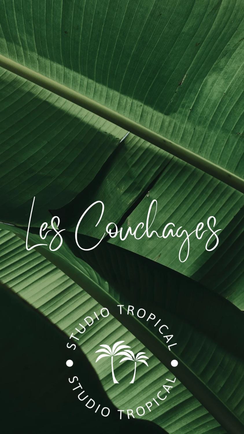 Studio Tropical avec vue mer dans une résidence hôtelière Apartment in Sainte-Luce