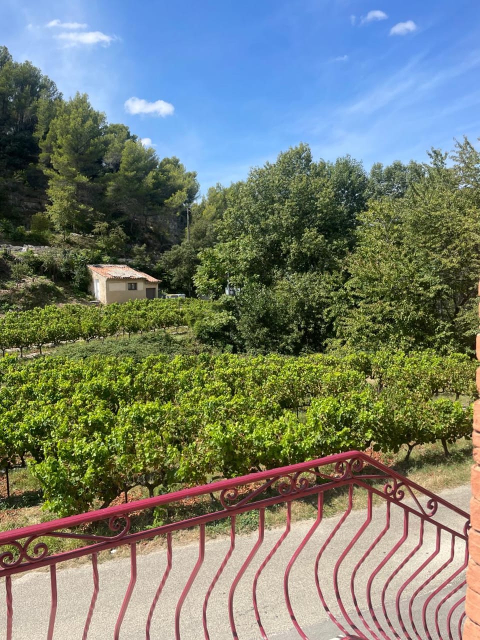 Appartement 1 chambre au milieu du vignoble de Gigondas Apartment in Provence-Alpes-Côte d'Azur