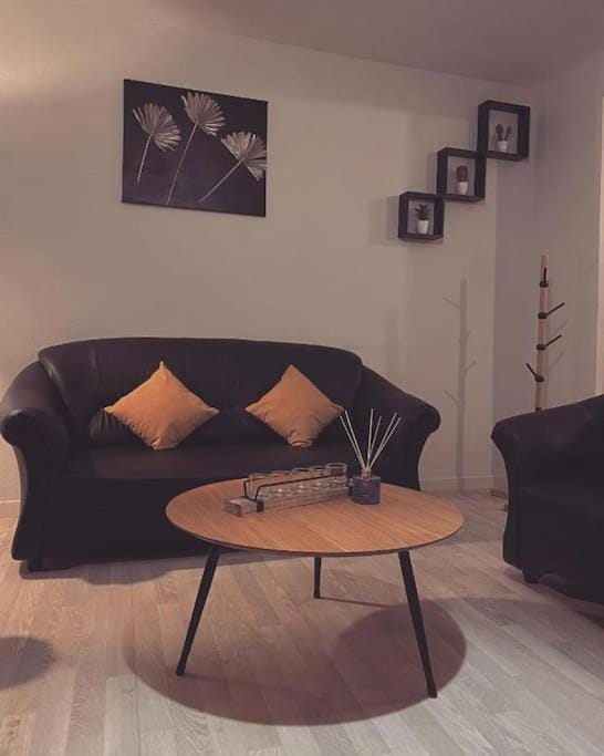 Nancy appartement en triplex plein centre Apartment in Nancy