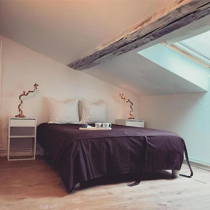 Nancy appartement en triplex plein centre Apartment in Nancy