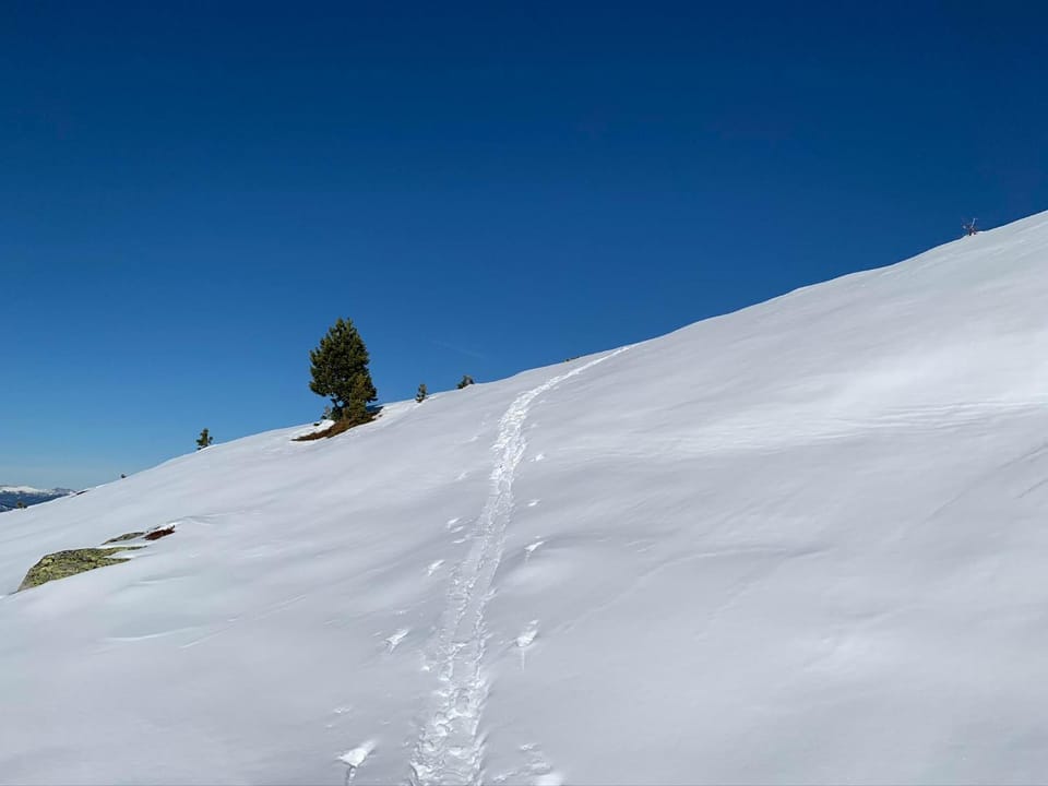 Natural landscape