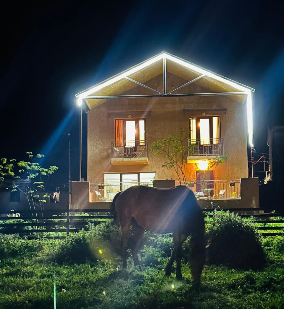Property building, Night, Garden, Garden view