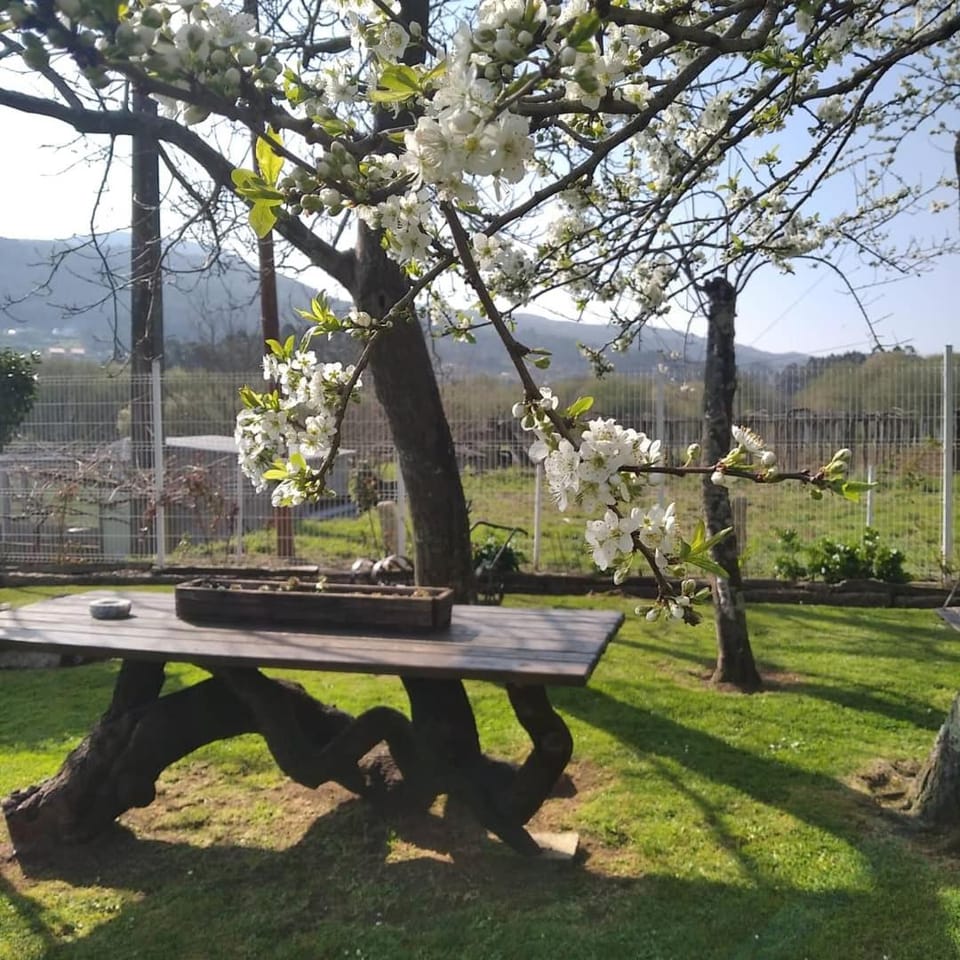 Garden, Garden