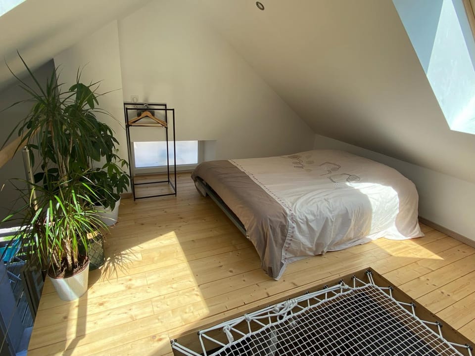 Bed, Photo of the whole room, Bedroom