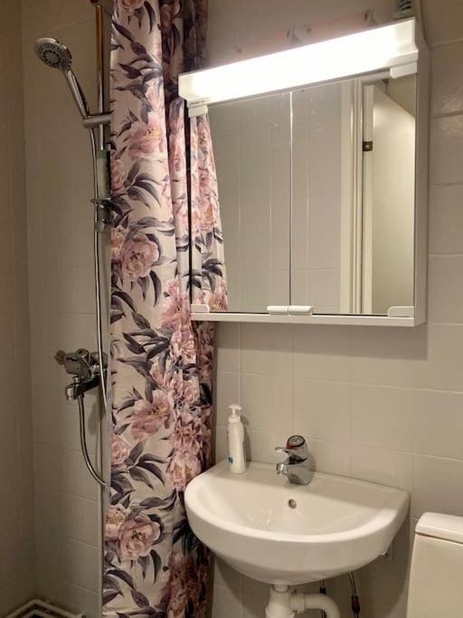 Viehättävä asunto Heinolan keskustassa Apartment in Finland