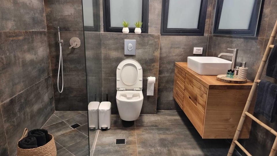 Shower, Toilet, Bathroom, bidet