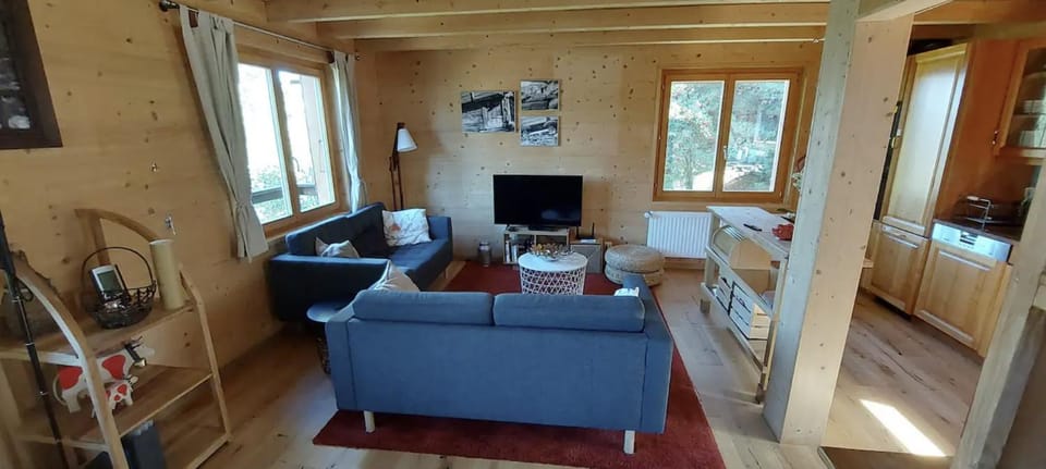 TV and multimedia, Living room