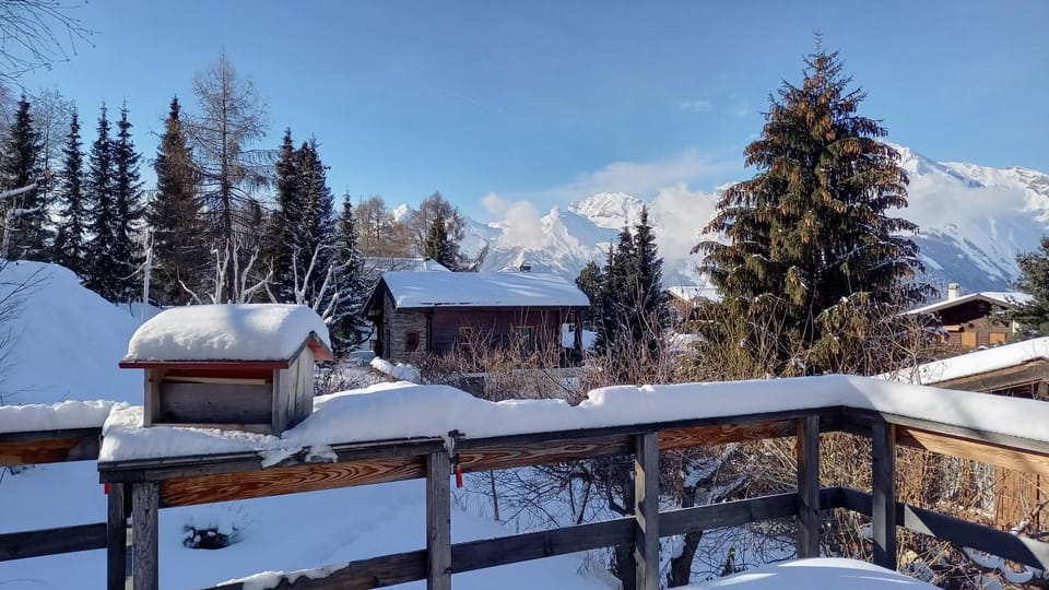 Chalet AS des Pics Chalet in Riddes