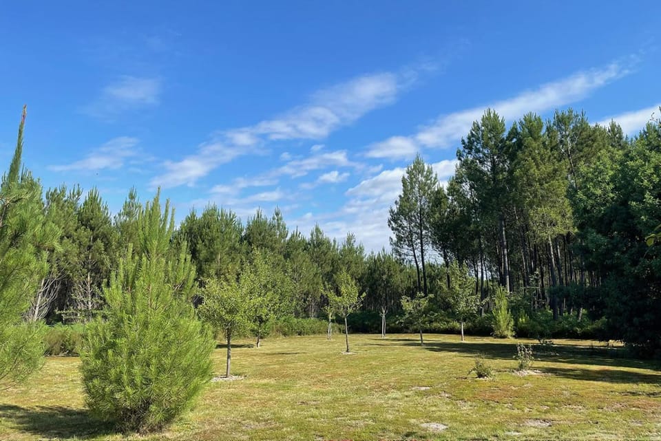 Natural landscape