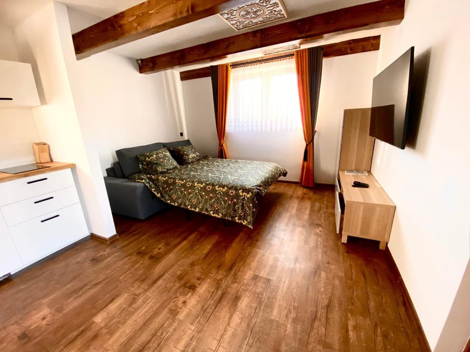 Bed, TV and multimedia, Kitchen or kitchenette, Living room, Photo of the whole room, Seating area