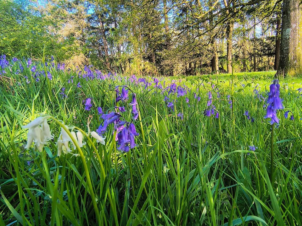 Tranquil getaway near Brecon Beacons Apartment in Wales