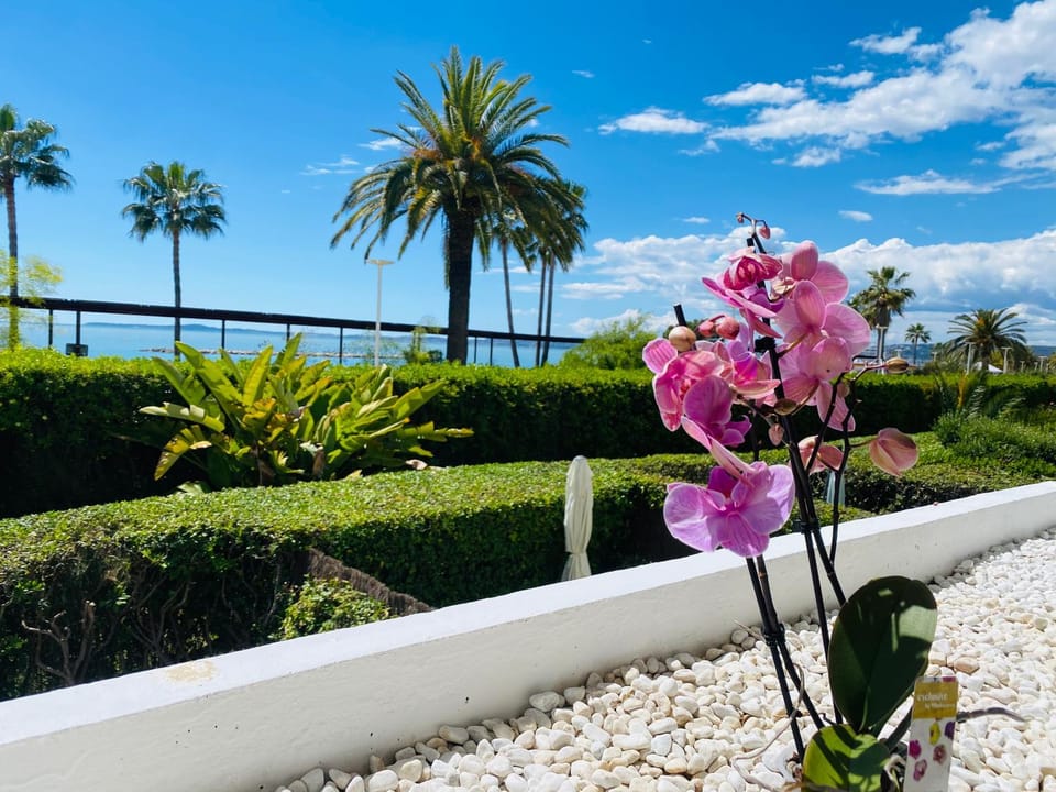 Magnifique appartement les pieds dans l’eau à Nice Apartment in Nice