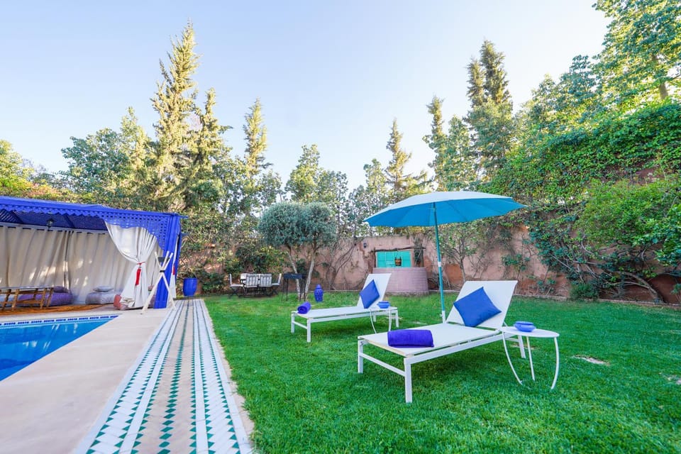 Garden, Pool view, Swimming pool, sunbed