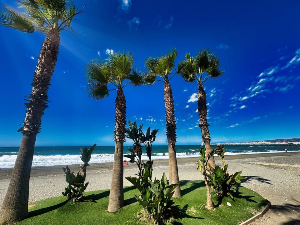 Beach, Beach