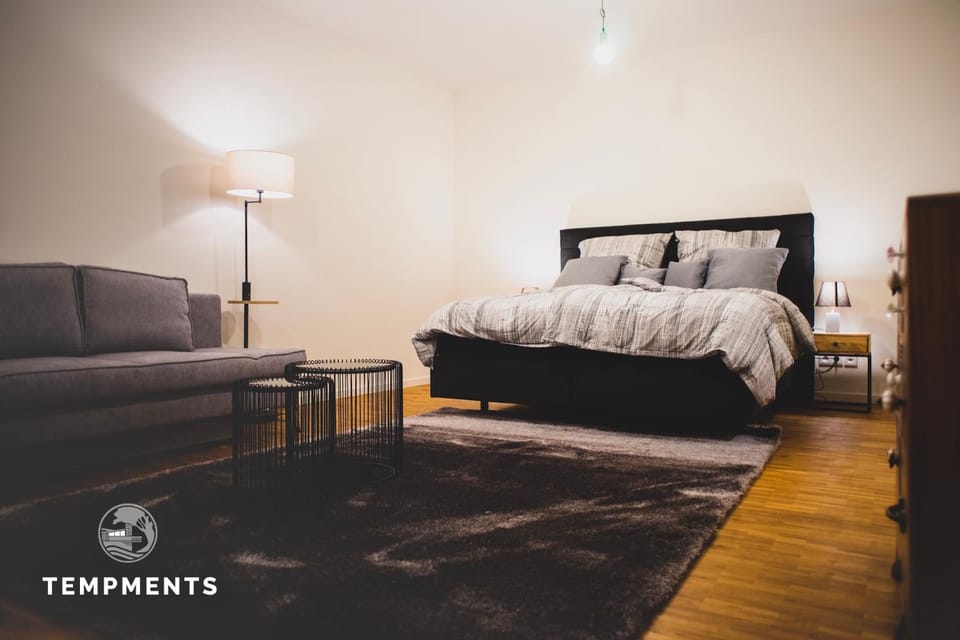 Bed, Living room, Photo of the whole room, Seating area, Bedroom