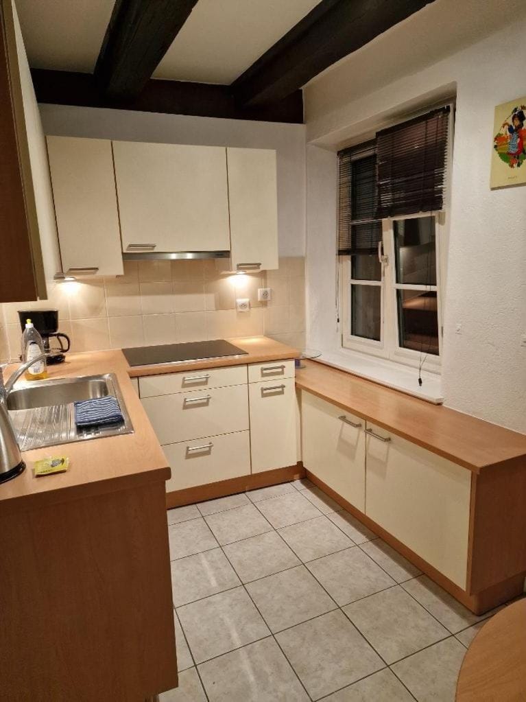 Kitchen or kitchenette, dishwasher, minibar, oven, pet friendly, stove