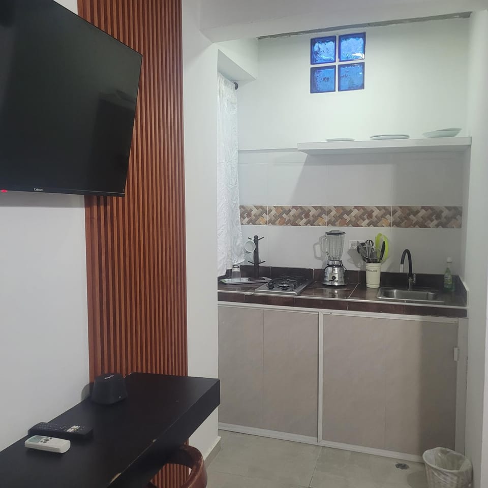 TV and multimedia, Kitchen or kitchenette, minibar, stove